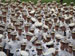 ./athletics/football/tamu_pike2006/thumbnails/On-the-Field.jpg