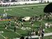 ./athletics/football/tcu_ashton/thumbnails/P1010095.jpg
