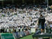 ./athletics/football/temple_ashton/thumbnails/P1050392.jpg