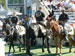 ./athletics/football/temple_ashton/thumbnails/P1050414.jpg