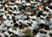 ./athletics/football/tulane07_sutey/thumbnails/PA062231.jpg