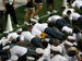 ./athletics/football/tulane07_sutey/thumbnails/PA062266.jpg