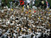 ./athletics/football/tulane07_sutey/thumbnails/PA062319.jpg