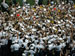 ./athletics/football/tulane07_sutey/thumbnails/PA062320.jpg
