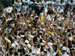 ./athletics/football/tulane07_sutey/thumbnails/PA062325.jpg