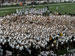 ./athletics/football/tulane07_sutey/thumbnails/PA062326.jpg