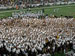 ./athletics/football/tulane07_sutey/thumbnails/PA062333.jpg