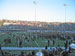 ./athletics/football/umass_sutey/thumbnails/IMG_1858-copy-2.jpg