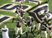 ./athletics/football/usafa08_cinotto/thumbnails/IMG_0060.jpg