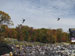 ./athletics/football/usafa08_cinotto/thumbnails/IMG_0066.jpg