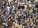 ./athletics/football/usafa08_cinotto/thumbnails/IMG_0080.jpg