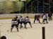 ./athletics/hockey/airforce2007/thumbnails/USAFA-17.jpg
