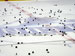 ./athletics/hockey/airforce2007/thumbnails/USAFA-18.jpg