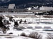 ./athletics/hockey/airforce2007/thumbnails/USAFA-2.jpg