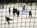 ./athletics/hockey/airforce2007/thumbnails/USAFA-9.jpg