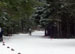 ./athletics/nordic_ski/lakeplacid08/thumbnails/100_0565.jpg