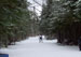 ./athletics/nordic_ski/lakeplacid08/thumbnails/100_0604.jpg