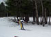 ./athletics/nordic_ski/lakeplacid08/thumbnails/100_0626.jpg