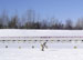 ./athletics/nordic_ski/lakeplacid09/thumbnails/100_1379.jpg