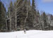./athletics/nordic_ski/lakeplacid09/thumbnails/100_1387.jpg