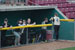 ./athletics/softball/houston08/thumbnails/DSC_2797.jpg