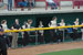 ./athletics/softball/houston08/thumbnails/DSC_2799.jpg