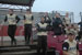 ./athletics/softball/houston08/thumbnails/DSC_3135.jpg