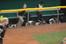 ./athletics/softball/houston08/thumbnails/DSC_3316.jpg