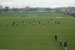 ./athletics/softball/houston08/thumbnails/DSC_3630.jpg