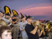 ./athletics/spirit_group/baylor_denharder06/thumbnails/P9230067.jpg