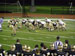 ./athletics/sprint_football/navy07/thumbnails/RS_PB021172.jpg