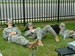 ./athletics/sprint_football/pridebowl06_hargus/thumbnails/2006-Pride-Bowl-053.jpg
