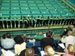 ./athletics/swimming/navy05/thumbnails/P9050032.jpg