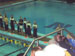 ./athletics/swimming/navy05/thumbnails/P9050038.jpg