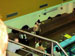 ./athletics/swimming/navy05/thumbnails/P9050039.jpg