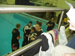 ./athletics/swimming/patriots06/thumbnails/PB300042.jpg