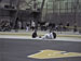 ./athletics/track/indoor_navy_jan09/thumbnails/IMG_0576.jpg