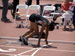 ./athletics/track/patriots_outdoor2008/thumbnails/_5036704.jpg