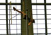 ./athletics/track/patriotsindoor09_anderson2/thumbnails/IMG_9316.jpg