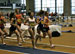 ./athletics/track/patriotsindoor09_anderson2/thumbnails/IMG_9340.jpg