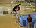 ./athletics/track/patriotsindoor09_sutey/thumbnails/_2213780.jpg