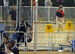 ./athletics/track/patriotsindoor09_sutey/thumbnails/_2213807.jpg