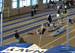 ./athletics/track/patriotsindoor09_sutey/thumbnails/_2213818.jpg