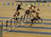./athletics/track/patriotsindoor09_sutey/thumbnails/_2213991.jpg