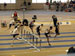 ./athletics/track/patriotsindoor09_sutey/thumbnails/_2213995.jpg