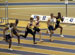./athletics/track/patriotsindoor09_sutey/thumbnails/_2214003.jpg