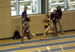 ./athletics/track/patriotsindoor09_sutey/thumbnails/_2214093.jpg