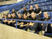 ./athletics/volleyball/anderegg_usafa/thumbnails/Air-Force-36.jpg