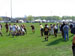./athletics/war/rugby_nationals/thumbnails/DSCN0132.jpg