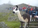 ./cadetlife_pl/cow_cl/peru/thumbnails/peru_005.jpg